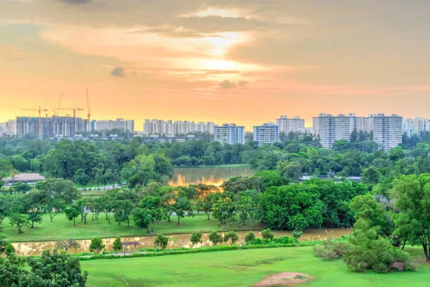 mohali property dealer